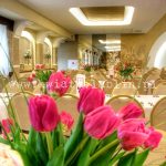 tulipany w kulach